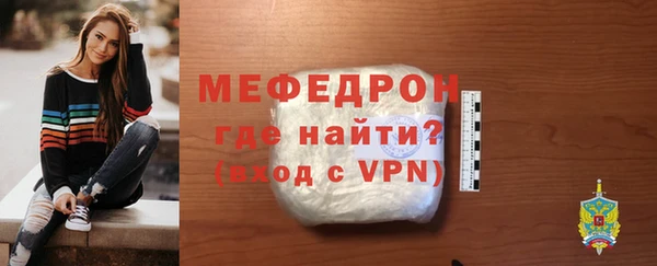 мдпв Ельня