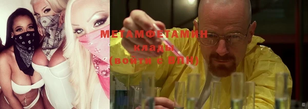 мдпв Ельня