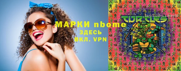 мдпв Ельня