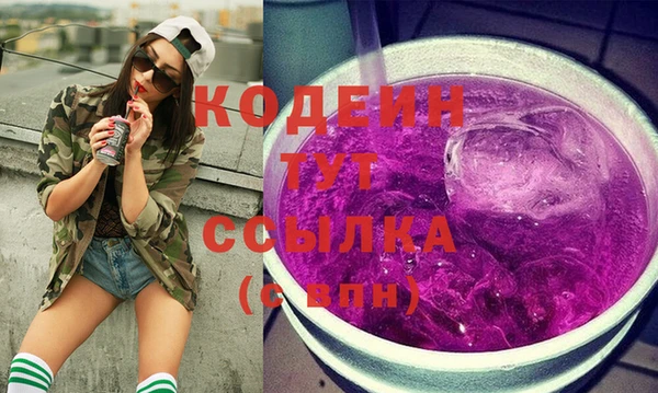МДПВ Заводоуковск