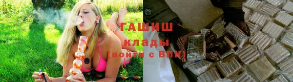 МДПВ Заводоуковск