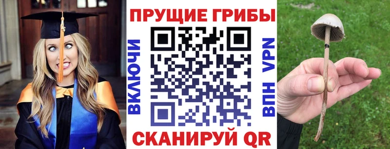 Галлюциногенные грибы MAGIC MUSHROOMS Пикалёво